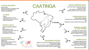 Biomas do Brasil - Mapas mentais! - Imagem 3